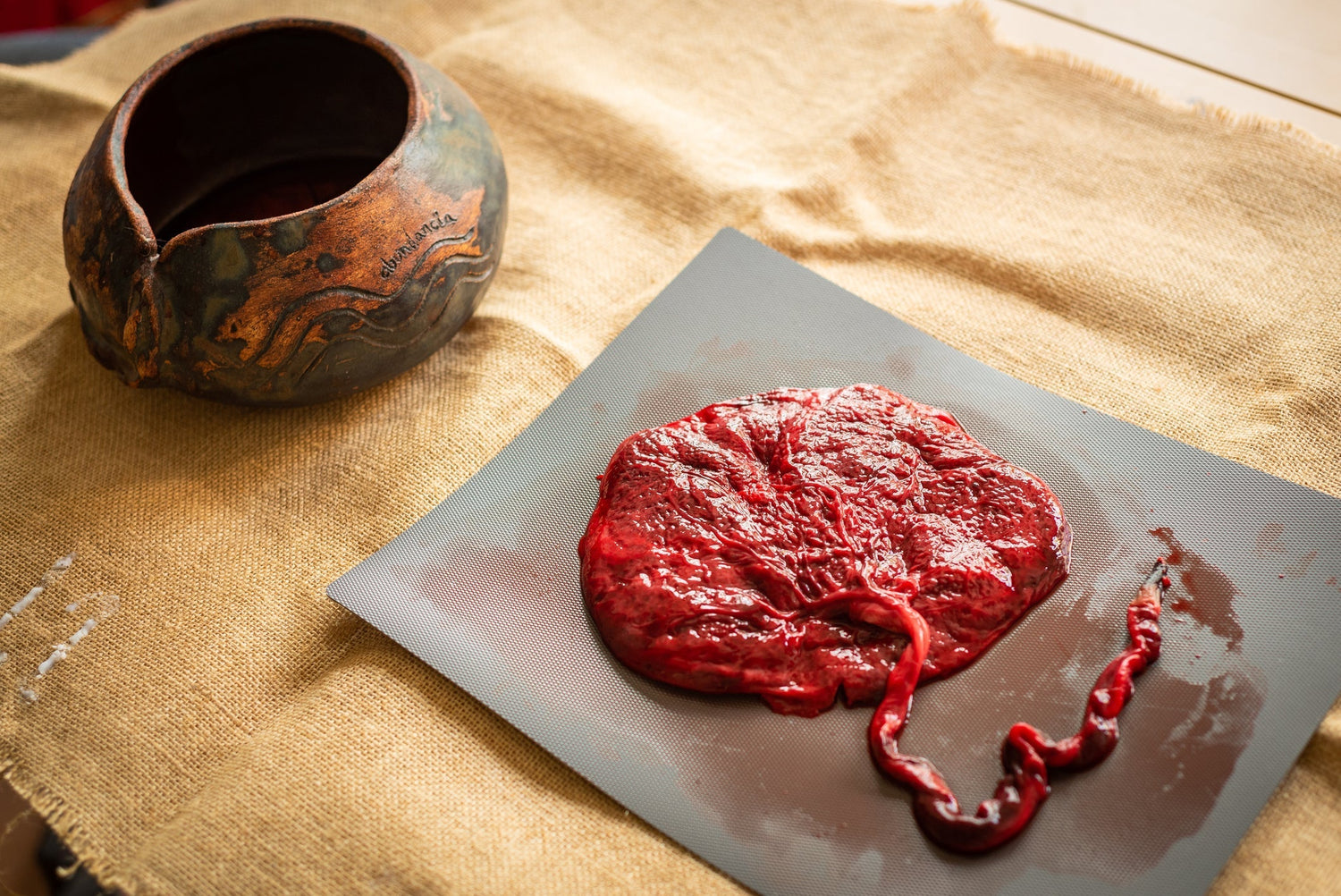 The Power of Organ Meats for Building a Healthy and Nourishing Placenta