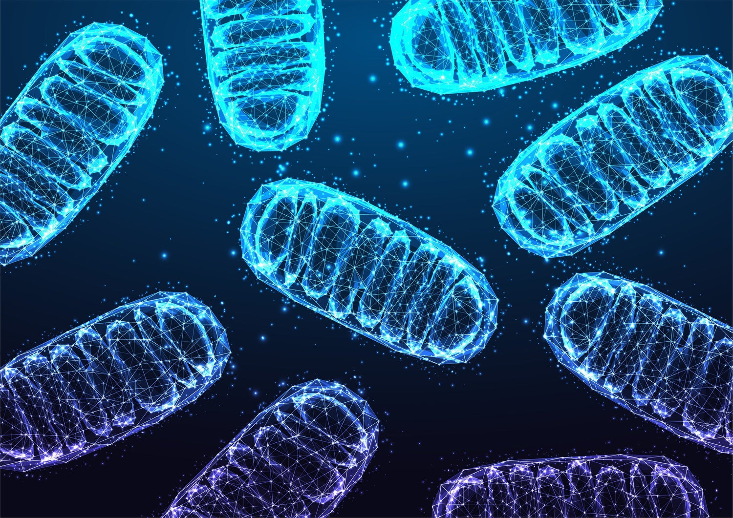 Start Eating Organ Meats to Start Fueling Your Mitochondria