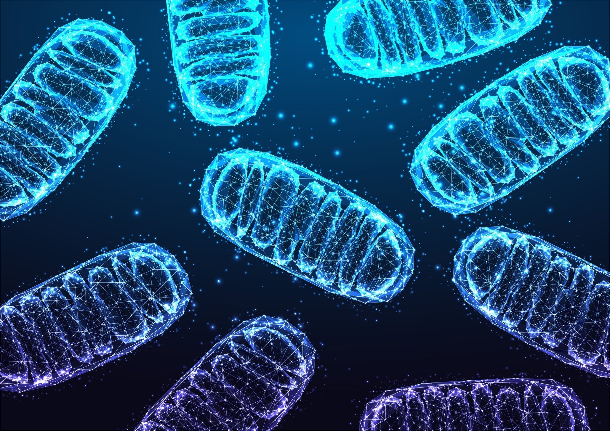 Start Eating Organ Meats to Start Fueling Your Mitochondria