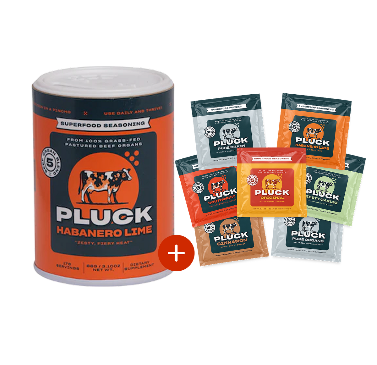 New Customer Bundle