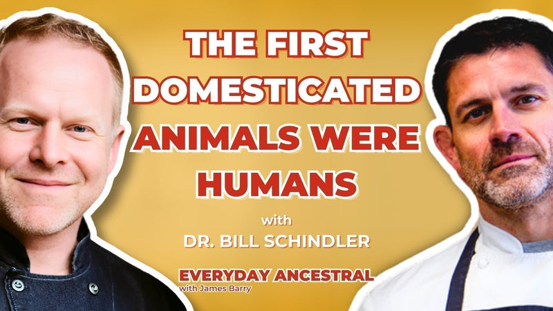 Modern Food is Failing Us  – Dr. Bill Schindler on Ancestral Eatinng, Industry Deception, and the Healing Power of Fermentation – Part 2